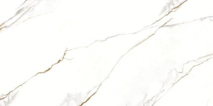 PORCELANATO VENE DORO 60X120 POLIDO DELTA 2,88MT