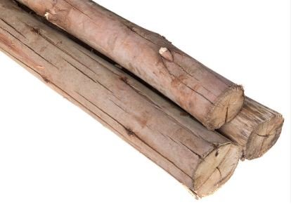 ESCORA DE MADEIRA EUCALIPTO 3M UNIDADE (JS) #