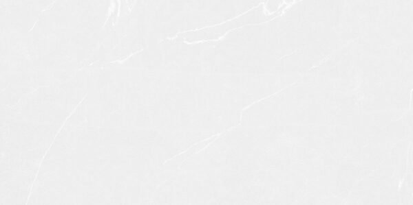 PORCELANATO POLIDO MONT BLANC RT 60X120 DELTA NOVA (2,88)