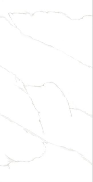 PORCELANATO CALACATA ENDLESS POLIDO RT 60X119 GAUDI (2,15) VEIO INFINITO